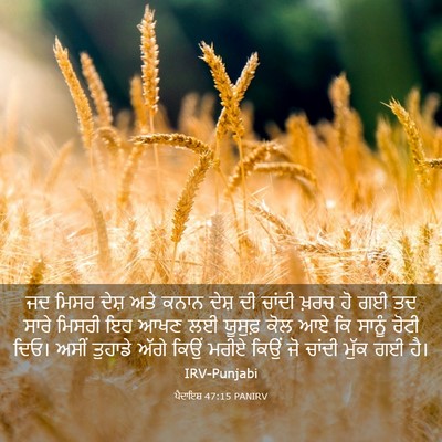 Picture 03 - ਪੈਦਾਇਸ਼ 47:15 PANIRV - ਜਦ ਮਿਸਰ ਦੇਸ਼ ਅਤੇ - Bible Verse Picture