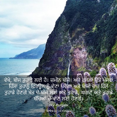 Picture 03 - ਪੈਦਾਇਸ਼ 47:24 PANIRV - ਵੇਖੋ, ਬੀਜ ਤੁਹਾਡੇ ਲਈ - Bible Verse Picture