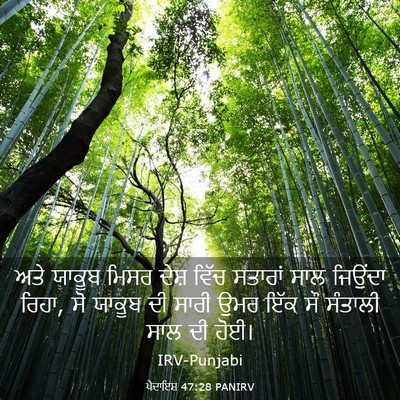 Picture 03 - ਪੈਦਾਇਸ਼ 47:28 PANIRV - ਅਤੇ ਯਾਕੂਬ ਮਿਸਰ - Bible Verse Picture