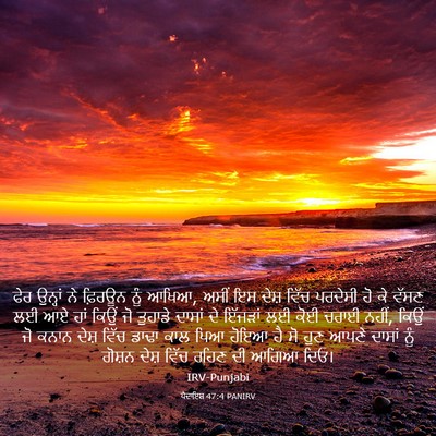 Picture 03 - ਪੈਦਾਇਸ਼ 47:4 PANIRV - ਫੇਰ ਉਨ੍ਹਾਂ ਨੇ - Bible Verse Picture