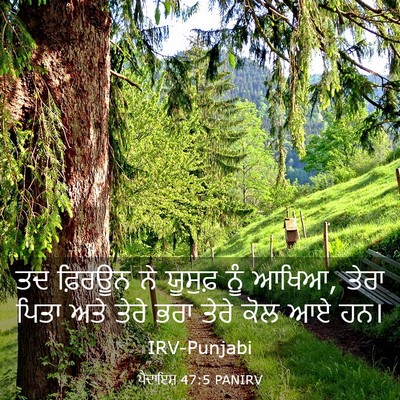 Picture 03 - ਪੈਦਾਇਸ਼ 47:5 PANIRV - ਤਦ ਫ਼ਿਰਊਨ ਨੇ - Bible Verse Picture