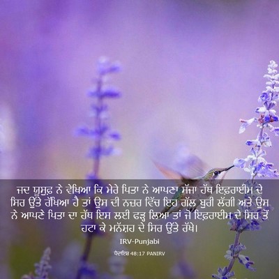 Picture 03 - ਪੈਦਾਇਸ਼ 48:17 PANIRV - ਜਦ ਯੂਸੁਫ਼ ਨੇ ਵੇਖਿਆ - Bible Verse Picture