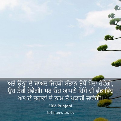 Picture 03 - ਪੈਦਾਇਸ਼ 48:6 PANIRV - ਅਤੇ ਉਨ੍ਹਾਂ ਦੇ ਬਾਅਦ - Bible Verse Picture
