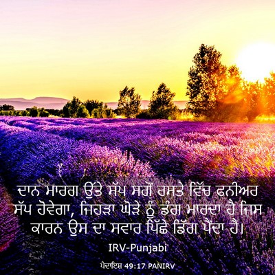 Picture 03 - ਪੈਦਾਇਸ਼ 49:17 PANIRV - ਦਾਨ ਮਾਰਗ ਉੱਤੇ ਸੱਪ - Bible Verse Picture