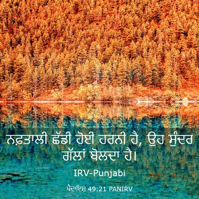 Picture 03 - ਪੈਦਾਇਸ਼ 49:21 PANIRV - ਨਫ਼ਤਾਲੀ ਛੱਡੀ ਹੋਈ - Bible Verse Picture