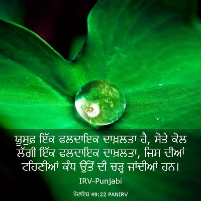 Picture 03 - ਪੈਦਾਇਸ਼ 49:22 PANIRV - ਯੂਸੁਫ਼ ਇੱਕ ਫਲਦਾਇਕ - Bible Verse Picture
