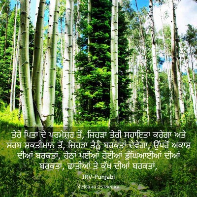 Picture 03 - ਪੈਦਾਇਸ਼ 49:25 PANIRV - ਤੇਰੇ ਪਿਤਾ ਦੇ - Bible Verse Picture