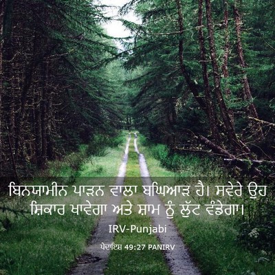 Picture 03 - ਪੈਦਾਇਸ਼ 49:27 PANIRV - ਬਿਨਯਾਮੀਨ ਪਾੜਨ - Bible Verse Picture