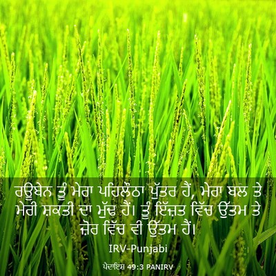 Picture 03 - ਪੈਦਾਇਸ਼ 49:3 PANIRV - ਰਊਬੇਨ ਤੂੰ ਮੇਰਾ - Bible Verse Picture