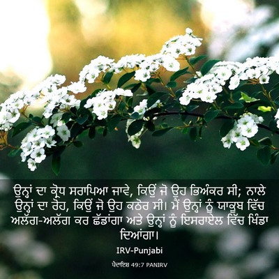 Picture 03 - ਪੈਦਾਇਸ਼ 49:7 PANIRV - ਉਨ੍ਹਾਂ ਦਾ ਕ੍ਰੋਧ - Bible Verse Picture