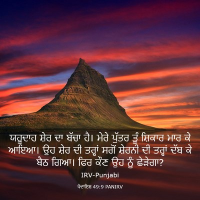 Picture 03 - ਪੈਦਾਇਸ਼ 49:9 PANIRV - ਯਹੂਦਾਹ ਸ਼ੇਰ ਦਾ - Bible Verse Picture