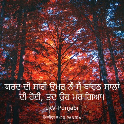 Picture 03 - ਪੈਦਾਇਸ਼ 5:20 PANIRV - ਯਰਦ ਦੀ ਸਾਰੀ ਉਮਰ ਨੌ - Bible Verse Picture