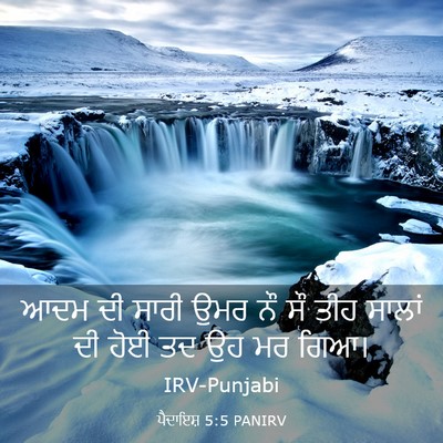 Picture 03 - ਪੈਦਾਇਸ਼ 5:5 PANIRV - ਆਦਮ ਦੀ ਸਾਰੀ ਉਮਰ ਨੌ - Bible Verse Picture