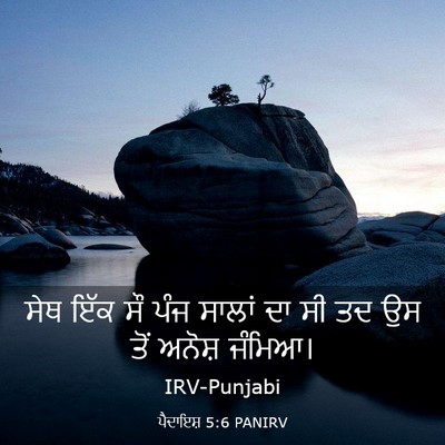Picture 03 - ਪੈਦਾਇਸ਼ 5:6 PANIRV - ਸੇਥ ਇੱਕ ਸੌ ਪੰਜ - Bible Verse Picture