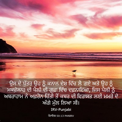 Picture 03 - ਪੈਦਾਇਸ਼ 50:13 PANIRV - ਉਸ ਦੇ ਪੁੱਤਰ ਉਹ ਨੂੰ - Bible Verse Picture