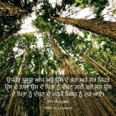 Picture 03 - ਪੈਦਾਇਸ਼ 50:14 PANIRV - ਉਪਰੰਤ ਯੂਸੁਫ਼ ਆਪ - Bible Verse Picture