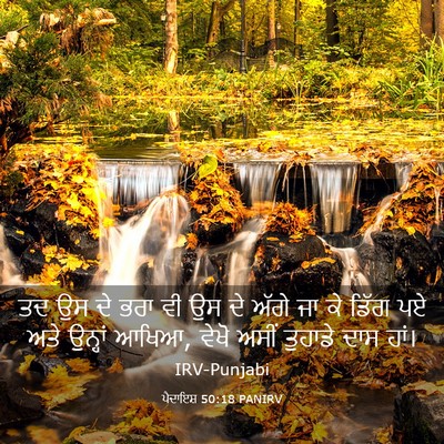 Picture 03 - ਪੈਦਾਇਸ਼ 50:18 PANIRV - ਤਦ ਉਸ ਦੇ ਭਰਾ ਵੀ ਉਸ - Bible Verse Picture