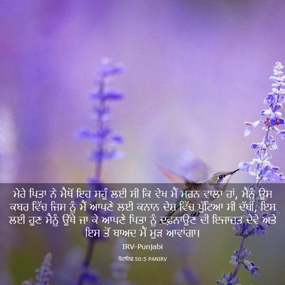 Picture 03 - ਪੈਦਾਇਸ਼ 50:5 PANIRV - ਮੇਰੇ ਪਿਤਾ ਨੇ ਮੈਥੋਂ - Bible Verse Picture