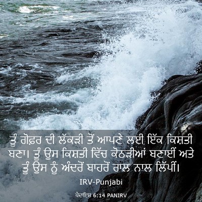 Picture 03 - ਪੈਦਾਇਸ਼ 6:14 PANIRV - ਤੂੰ ਗੋਫ਼ਰ ਦੀ ਲੱਕੜੀ - Bible Verse Picture