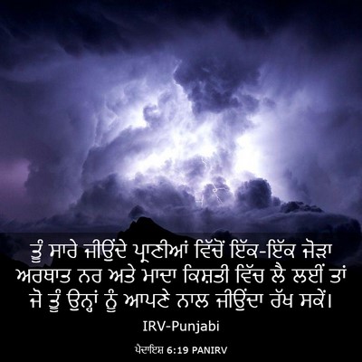 Picture 03 - ਪੈਦਾਇਸ਼ 6:19 PANIRV - ਤੂੰ ਸਾਰੇ ਜੀਉਂਦੇ - Bible Verse Picture
