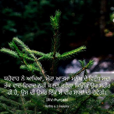 Picture 03 - ਪੈਦਾਇਸ਼ 6:3 PANIRV - ਯਹੋਵਾਹ ਨੇ ਆਖਿਆ, - Bible Verse Picture