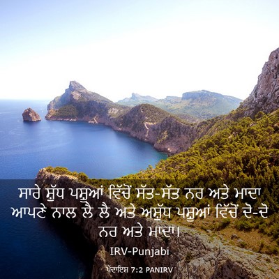 Picture 03 - ਪੈਦਾਇਸ਼ 7:2 PANIRV - ਸਾਰੇ ਸ਼ੁੱਧ ਪਸ਼ੂਆਂ - Bible Verse Picture