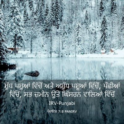 Picture 03 - ਪੈਦਾਇਸ਼ 7:8 PANIRV - ਸ਼ੁੱਧ ਪਸ਼ੂਆਂ - Bible Verse Picture