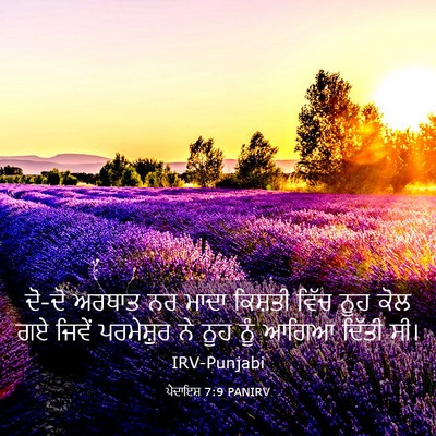 Picture 03 - ਪੈਦਾਇਸ਼ 7:9 PANIRV - ਦੋ-ਦੋ ਅਰਥਾਤ ਨਰ ਮਾਦਾ - Bible Verse Picture