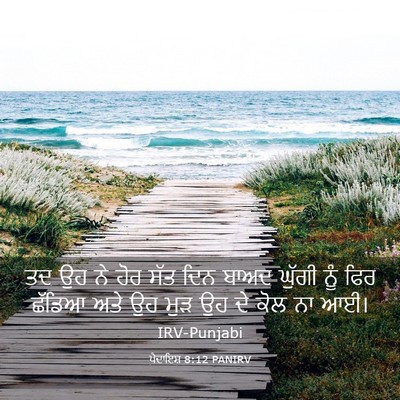 Picture 03 - ਪੈਦਾਇਸ਼ 8:12 PANIRV - ਤਦ ਉਹ ਨੇ ਹੋਰ ਸੱਤ - Bible Verse Picture