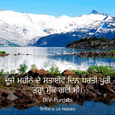 Picture 03 - ਪੈਦਾਇਸ਼ 8:14 PANIRV - ਦੂਜੇ ਮਹੀਨੇ ਦੇ - Bible Verse Picture