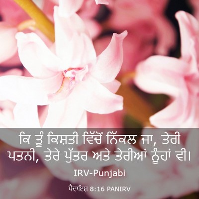 Picture 03 - ਪੈਦਾਇਸ਼ 8:16 PANIRV - ਕਿ ਤੂੰ ਕਿਸ਼ਤੀ - Bible Verse Picture
