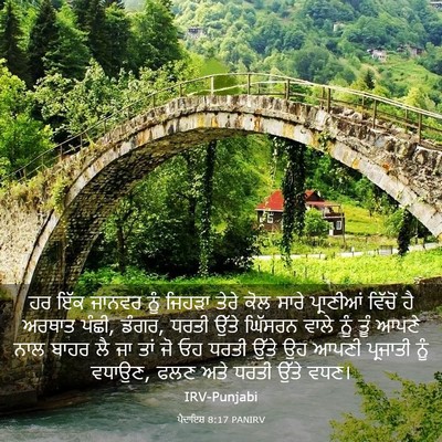 Picture 03 - ਪੈਦਾਇਸ਼ 8:17 PANIRV - ਹਰ ਇੱਕ ਜਾਨਵਰ ਨੂੰ - Bible Verse Picture