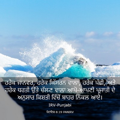 Picture 03 - ਪੈਦਾਇਸ਼ 8:19 PANIRV - ਹਰੇਕ ਜਾਨਵਰ, ਹਰੇਕ - Bible Verse Picture