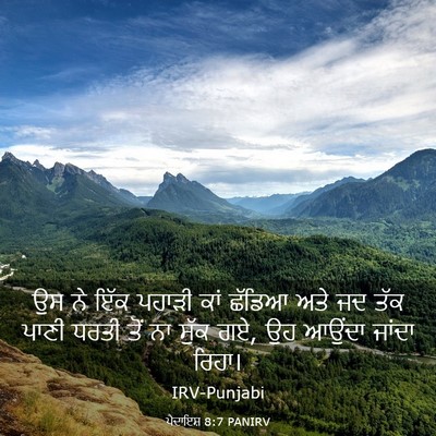 Picture 03 - ਪੈਦਾਇਸ਼ 8:7 PANIRV - ਉਸ ਨੇ ਇੱਕ ਪਹਾੜੀ ਕਾਂ - Bible Verse Picture