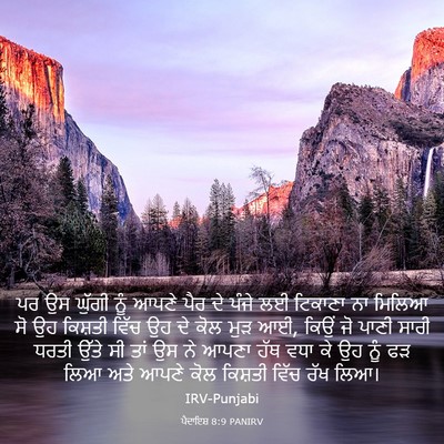 Picture 03 - ਪੈਦਾਇਸ਼ 8:9 PANIRV - ਪਰ ਉਸ ਘੁੱਗੀ ਨੂੰ - Bible Verse Picture