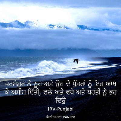 Picture 03 - ਪੈਦਾਇਸ਼ 9:1 PANIRV - ਪਰਮੇਸ਼ੁਰ ਨੇ ਨੂਹ - Bible Verse Picture
