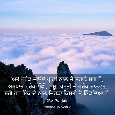 Picture 03 - ਪੈਦਾਇਸ਼ 9:10 PANIRV - ਅਤੇ ਹਰੇਕ ਜੀਉਂਦੇ - Bible Verse Picture