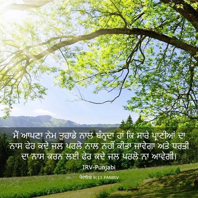 Picture 03 - ਪੈਦਾਇਸ਼ 9:11 PANIRV - ਮੈਂ ਆਪਣਾ ਨੇਮ - Bible Verse Picture
