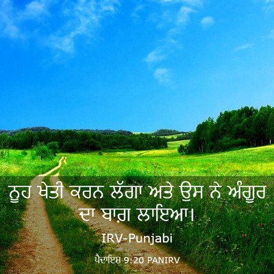 Picture 03 - ਪੈਦਾਇਸ਼ 9:20 PANIRV - ਨੂਹ ਖੇਤੀ ਕਰਨ ਲੱਗਾ - Bible Verse Picture