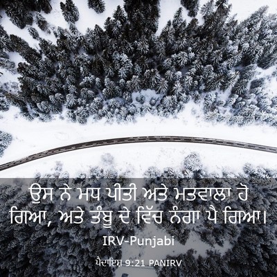 Picture 03 - ਪੈਦਾਇਸ਼ 9:21 PANIRV - ਉਸ ਨੇ ਮਧ ਪੀਤੀ ਅਤੇ - Bible Verse Picture
