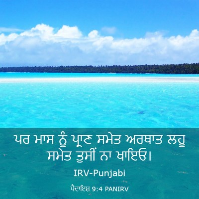 Picture 03 - ਪੈਦਾਇਸ਼ 9:4 PANIRV - ਪਰ ਮਾਸ ਨੂੰ ਪ੍ਰਾਣ - Bible Verse Picture