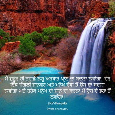 Picture 03 - ਪੈਦਾਇਸ਼ 9:5 PANIRV - ਮੈਂ ਜ਼ਰੂਰ ਹੀ - Bible Verse Picture