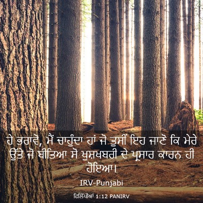 Picture 03 - ਫਿਲਿੱਪੀਆਂ 1:12 PANIRV - ਹੇ ਭਰਾਵੋ, ਮੈਂ - Bible Verse Picture