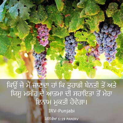 Picture 03 - ਫਿਲਿੱਪੀਆਂ 1:19 PANIRV - ਕਿਉਂ ਜੋ ਮੈਂ ਜਾਣਦਾ - Bible Verse Picture