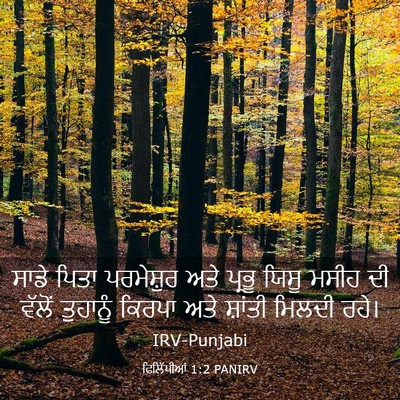Picture 03 - ਫਿਲਿੱਪੀਆਂ 1:2 PANIRV - ਸਾਡੇ ਪਿਤਾ - Bible Verse Picture