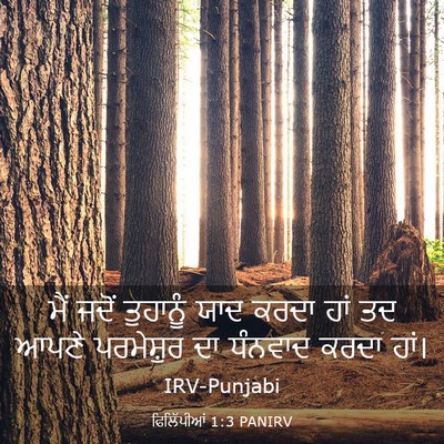 Picture 03 - ਫਿਲਿੱਪੀਆਂ 1:3 PANIRV - ਮੈਂ ਜਦੋਂ ਤੁਹਾਨੂੰ - Bible Verse Picture