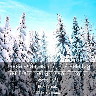 Picture 03 - ਫਿਲਿੱਪੀਆਂ 1:8 PANIRV - ਪਰਮੇਸ਼ੁਰ ਤਾਂ ਮੇਰਾ - Bible Verse Picture