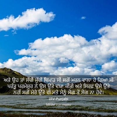 Picture 03 - ਫਿਲਿੱਪੀਆਂ 2:27 PANIRV - ਅਤੇ ਉਹ ਤਾਂ ਸੱਚੀ - Bible Verse Picture