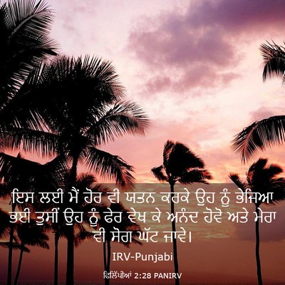 Picture 03 - ਫਿਲਿੱਪੀਆਂ 2:28 PANIRV - ਇਸ ਲਈ ਮੈਂ ਹੋਰ ਵੀ - Bible Verse Picture