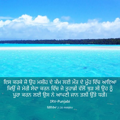 Picture 03 - ਫਿਲਿੱਪੀਆਂ 2:30 PANIRV - ਇਸ ਕਰਕੇ ਜੋ ਉਹ ਮਸੀਹ - Bible Verse Picture